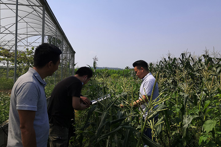企石共青团宣传片拍摄花絮