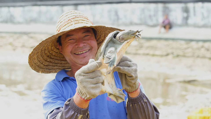 广东绿卡农业宣传片宣传片拍摄