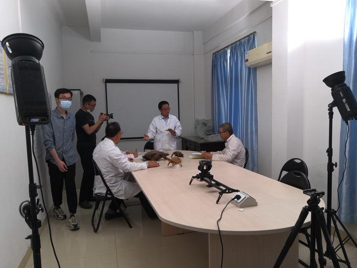 广东绿卡农业宣传片宣传片拍摄