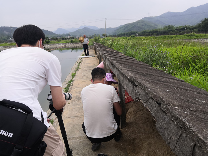 广东绿卡农业宣传片宣传片拍摄