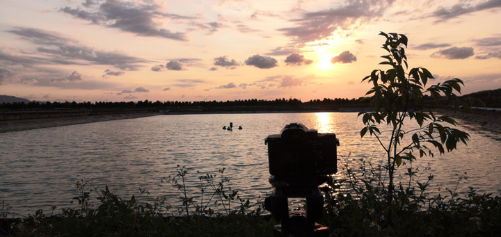 广东绿卡农业宣传片宣传片拍摄